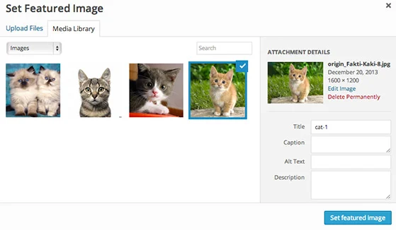 Set Featured Image