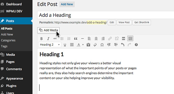 media cursor